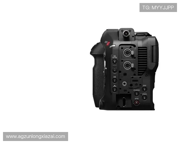 尊龙登录娱乐平台多平台同步支持,手机电脑多设备无缝切换畅玩无限精彩内容 尊龙登录娱乐平台多平台同步支持,手机电脑多设备无缝切换畅玩无限精彩内容