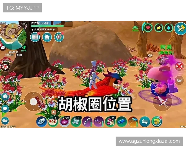 尊龙凯时ag官方入口：新手入门指南与游戏玩法介绍