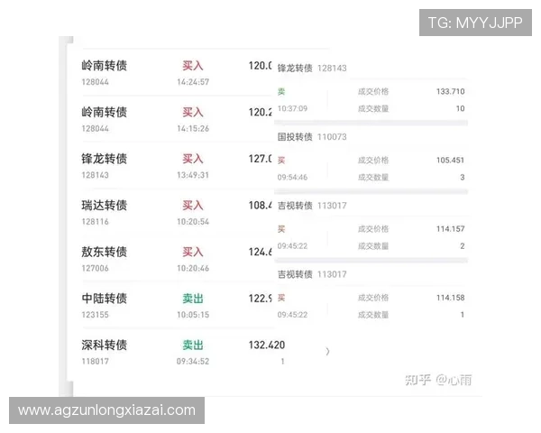 凯发娱乐中国官网支付方式多样，保障资金安全与快速到账
