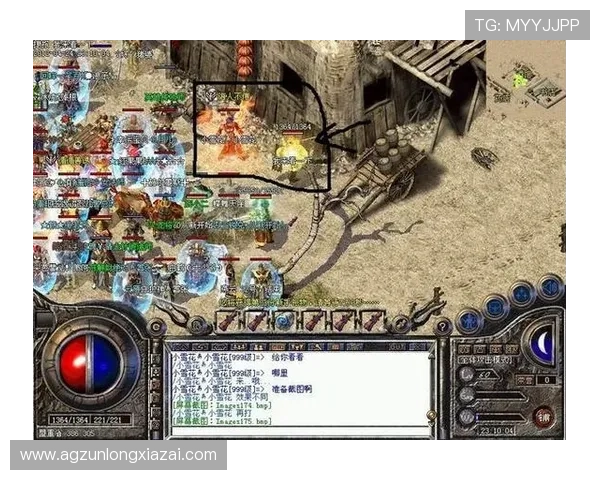 尊龙网站入口游戏分类介绍，丰富多样的游戏选择满足不同玩家需求