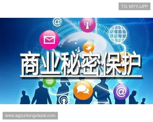 解析尊龙凯时备用平台的安全性和用户隐私保护措施