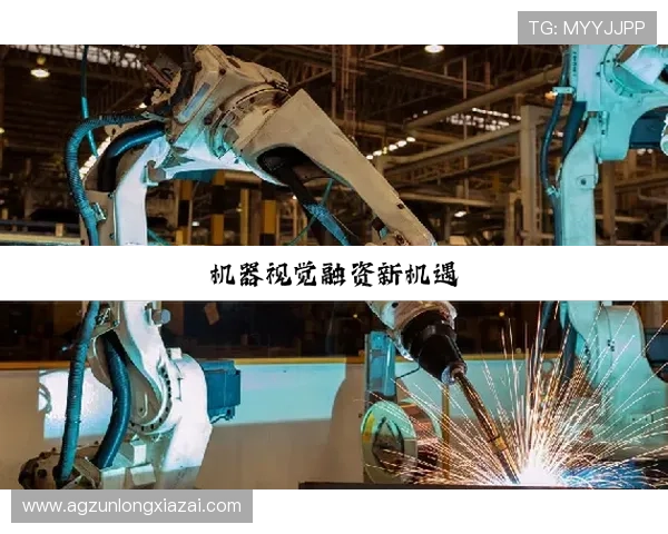 选择尊龙凯时官方平台的理由以及用户的真实反馈